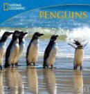 National Geographic Penguins