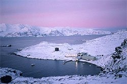 Signy base in summer