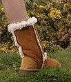 Price: £95.00 including VAT or US$149.09 excluding VAT
