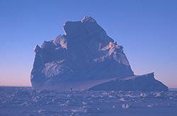 Antarctica is rich in ice