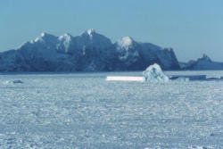 Ice berg trapped in sea ice