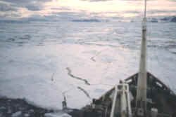 Antarctica, ship in pack ice