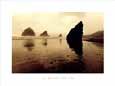 Chris Simpson - The Reflecting Tide