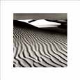Nicholas Pavloff - White Dune