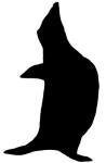 CoolAntarctica penguin mascot, this fella turns up as a back-image on most of our apparel