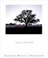 Ansel Adams - Oak Tree, Sunrise