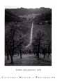 Ansel Adams - Road to Leesburg