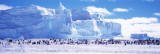 Emperor Penguin Colony, Ruser-Larsen Ice Shelf, Weddell Sea, Antarctica Photographic Print by Panoramic Images Emperor Penguin Colony, Ruser-Larsen Ice Shelf, Weddell Sea, Antarctica Photographic Print by Panoramic Images