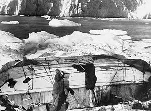 The "snuggery" on Elephant Island