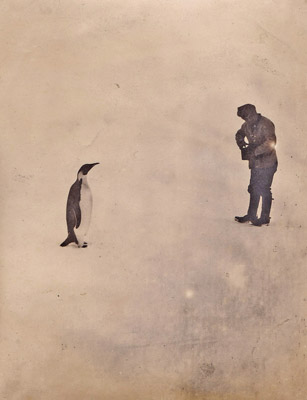 Prof. David snapping an Emperor Penguin.
