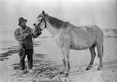 Bowers with the pony Victor, October 1911