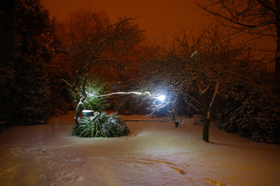 Snow at night long exposure and torch