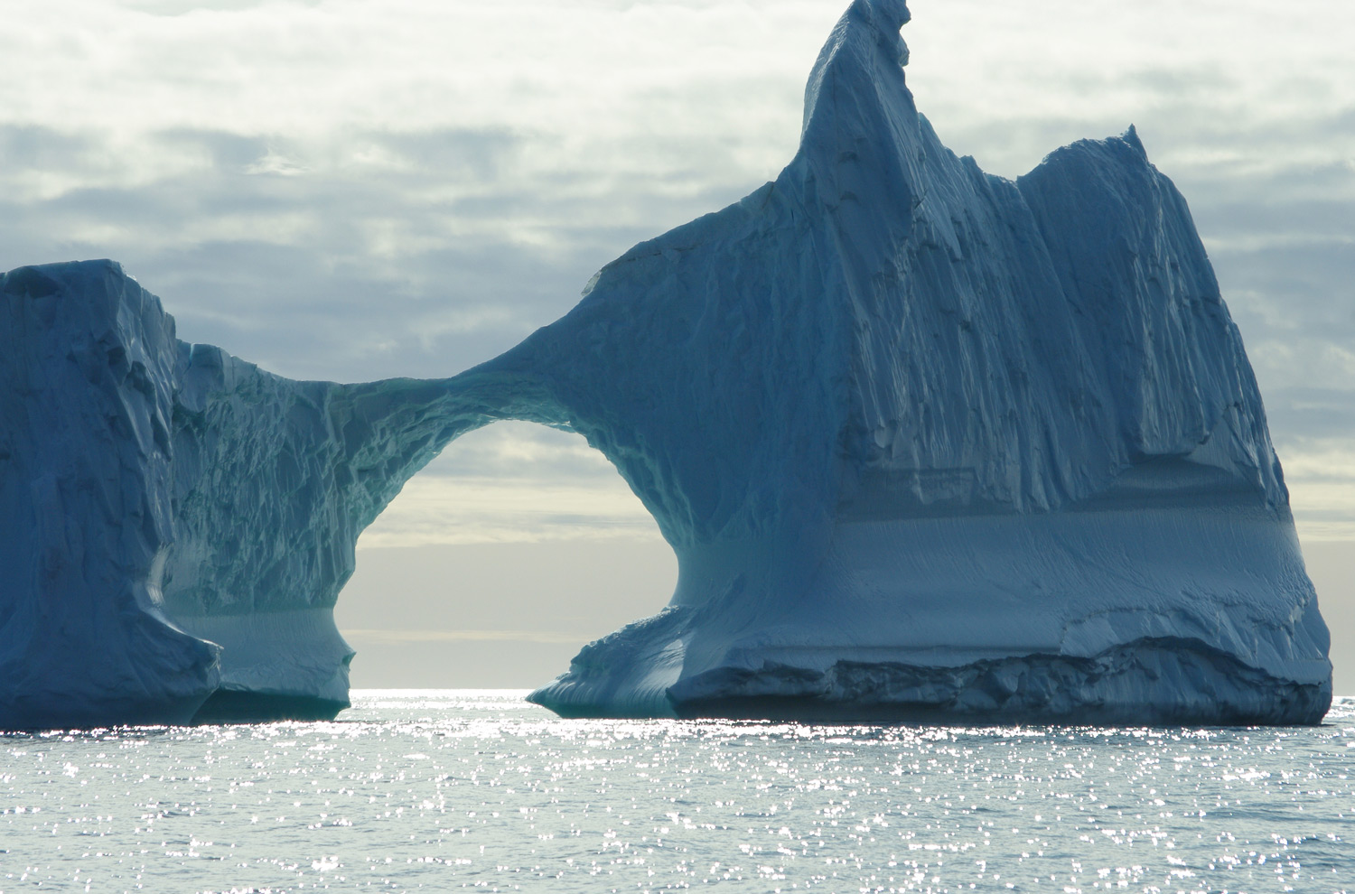 All About Ice: Glaciers and Icebergs of the Arctic and Antarctica