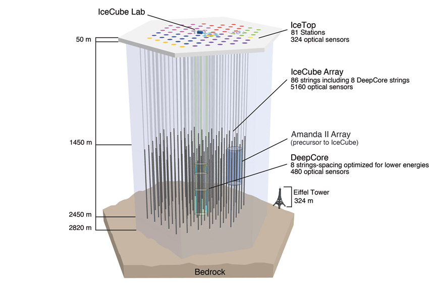 The IceCube detector array