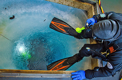 Diving through sea ice