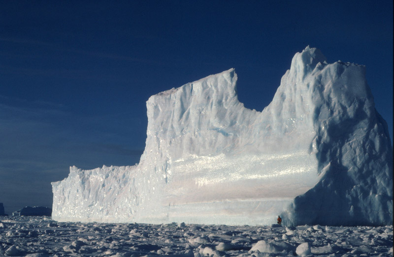 pristine Antarctic environment