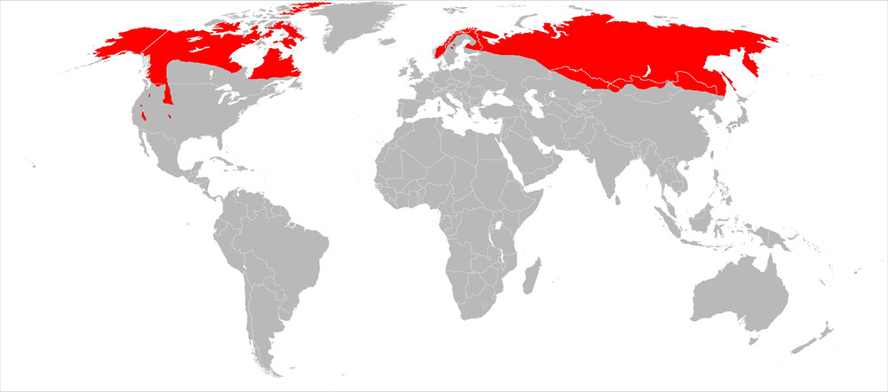 Wolverine geographic range