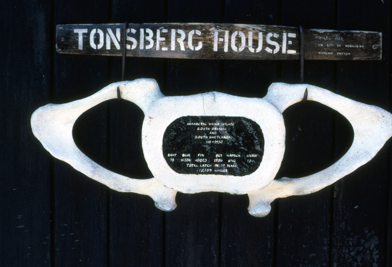 Tonsberg House, whale tally