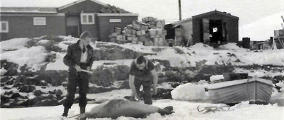 Admiralty Bay Base 1950