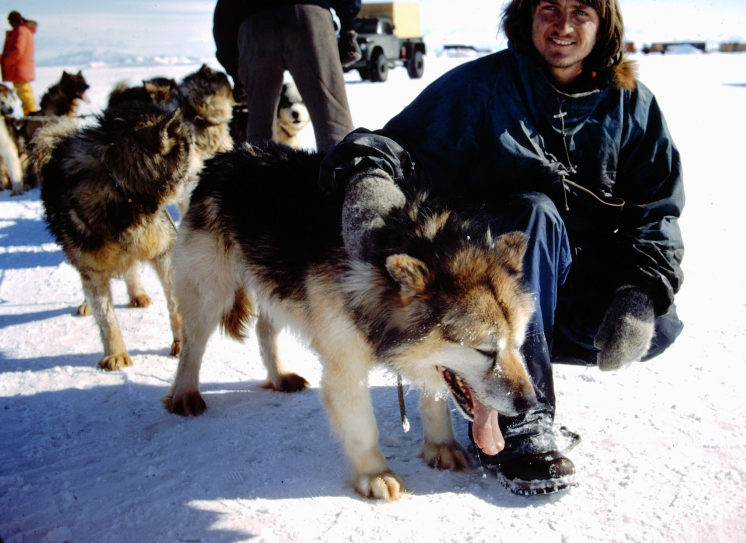 People - Sled Dogs from Scott Base