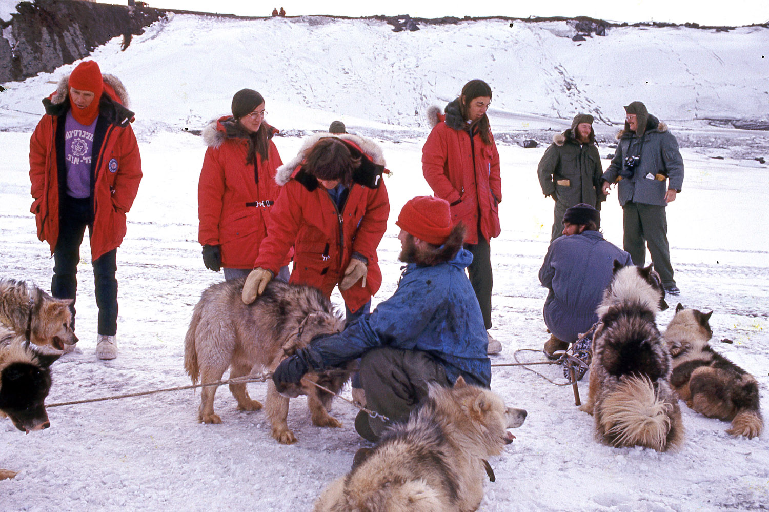 People - Sled Dogs from Scott Base