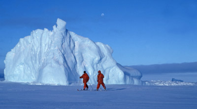 Ice Berg Trapped in Winter Sea Ice