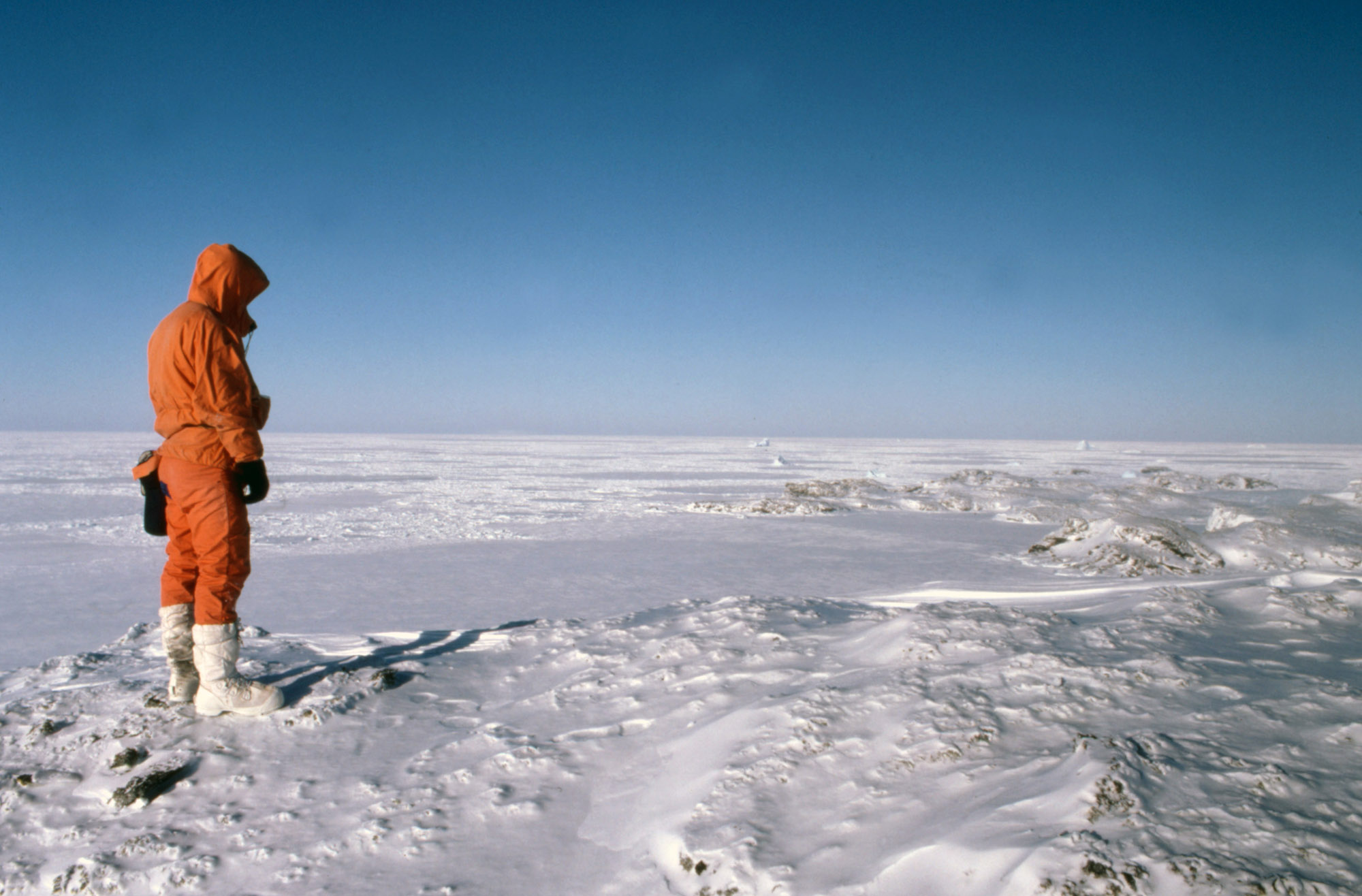 Наша экспедиция задуманная еще зимой носила научный. Арктическая пустыня Экспедиция. Северный полюс полярники. Люди в Арктике. Арктическая пустыня и человек.