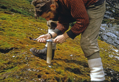 Bailey, A.D. taking sample cores from a moss bank