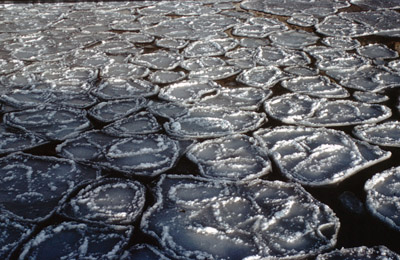 Pancake ice at Signy Island - 05.1967