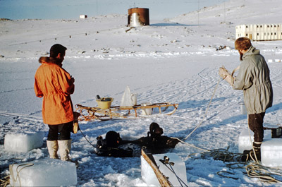 Doug Bone and Andy Losh diving through sea ice, Paul Bregazzi and Dr. John Ball assisting - 08.1968