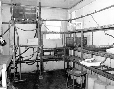 The old wet lab