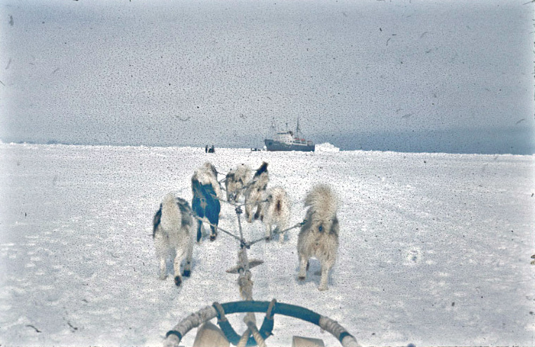 Dog Sled out to Ship at the Ice Edge