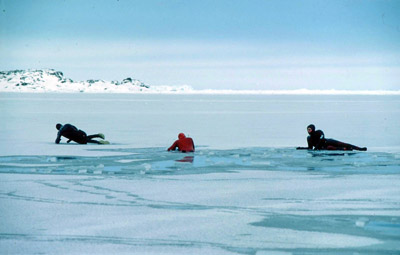 Signy Thin Ice Race 1984