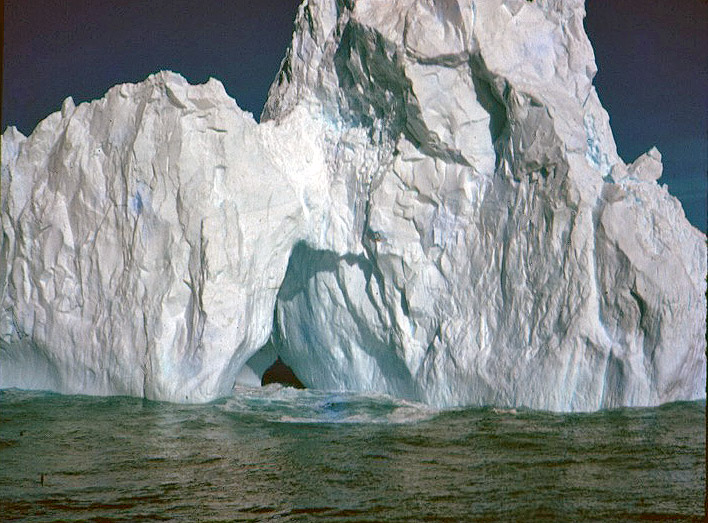 Iceberg from the Biscoe