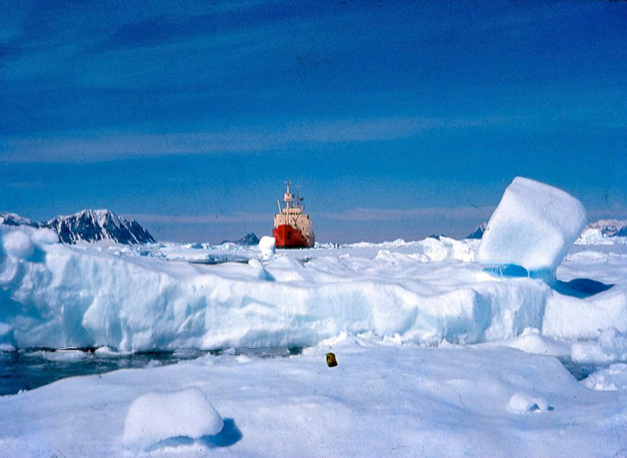 Biscoe amongst sea ice