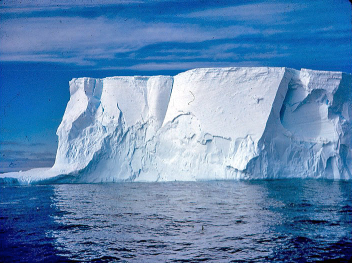 Iceberg from the Biscoe