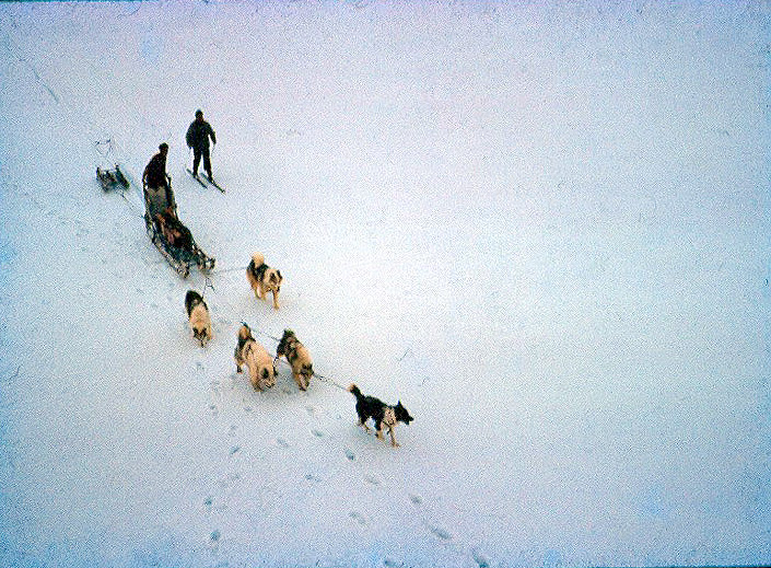 Sea ice relief by dog sled
