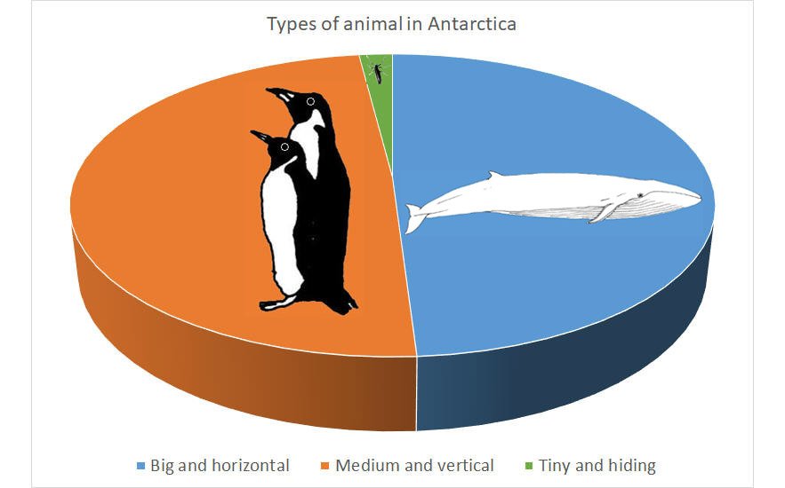 antarctica animals graph