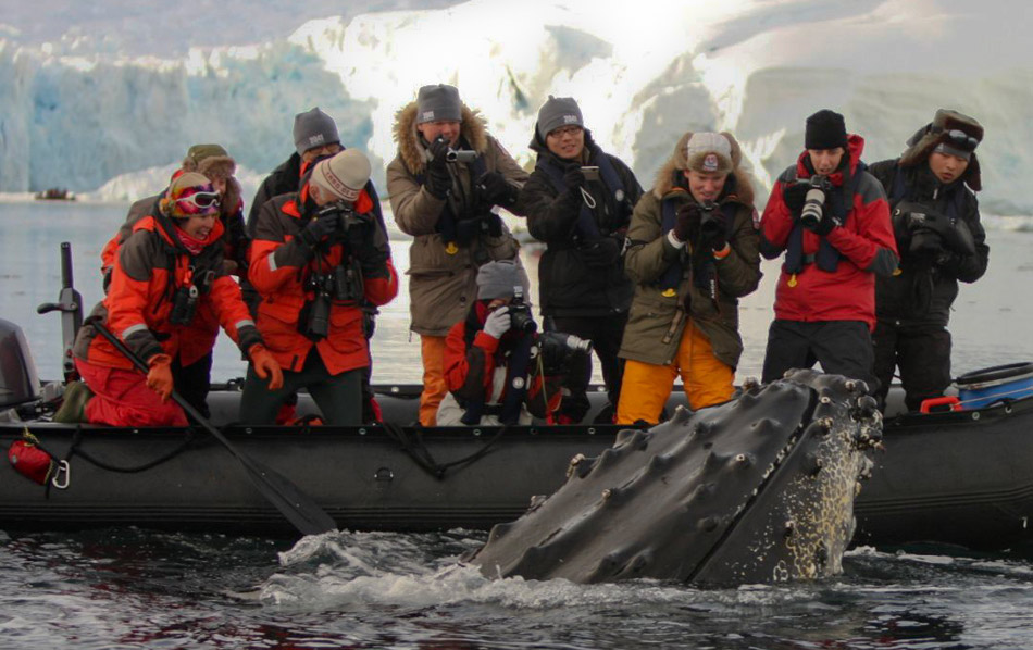 antarctic cruise