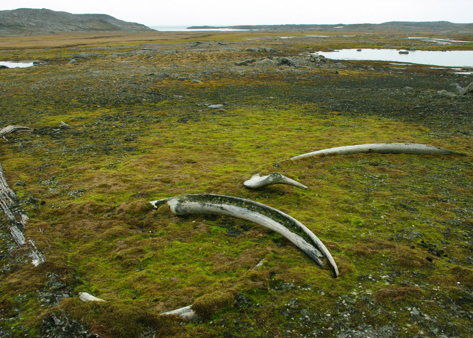 Barentsburg - Svalbard