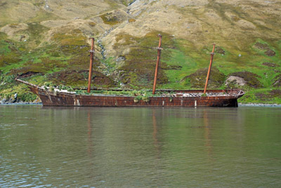 Wreck of the Bayard, Ocean Harbour, South Georgia
