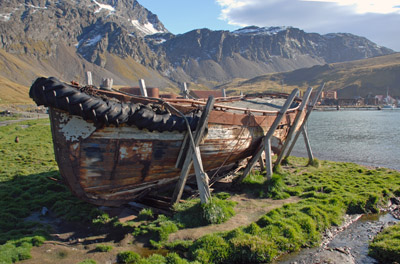Old Whalers Boat, South Georga