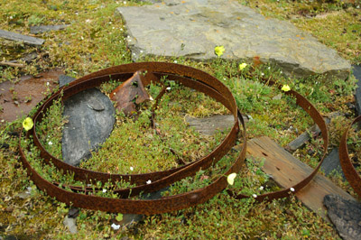 Broken Barrel Hoops - Northumberland House Beechey Island