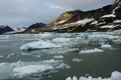 Brash Ice 6 - Svalbard / Spitsbergen