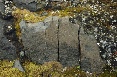 Frost Cracked Rock - Svalbard - 1