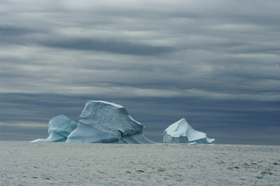 Iceberg 6 - East Greenland