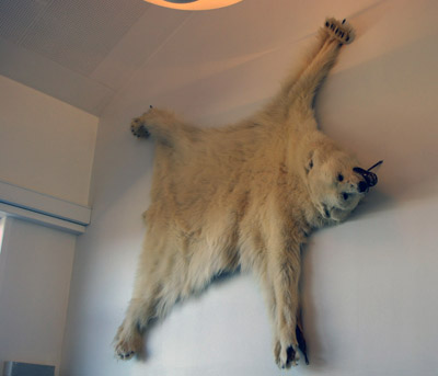 Ammassalik / Tasiilaq - Heliport, Polar Bear Skin - East Greenland