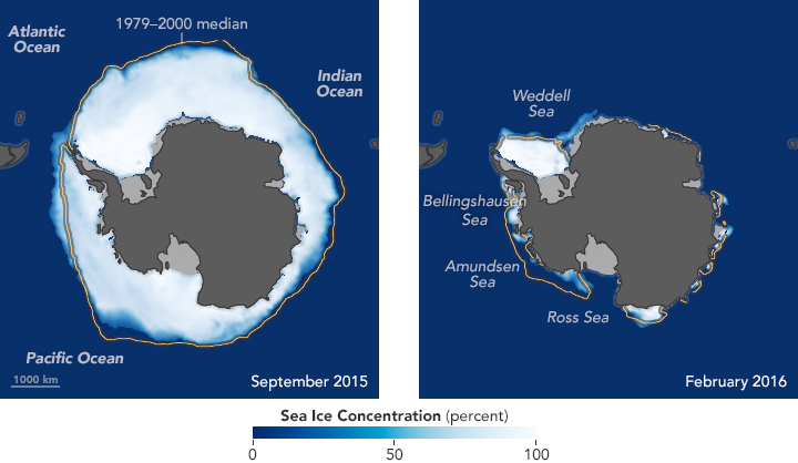 Antarctic seasonal sea ice