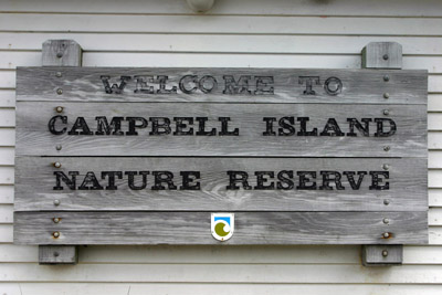 Campbell Island