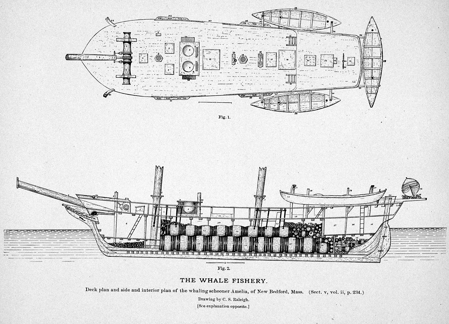 Whales and whaling pictures - thumbnails page 1